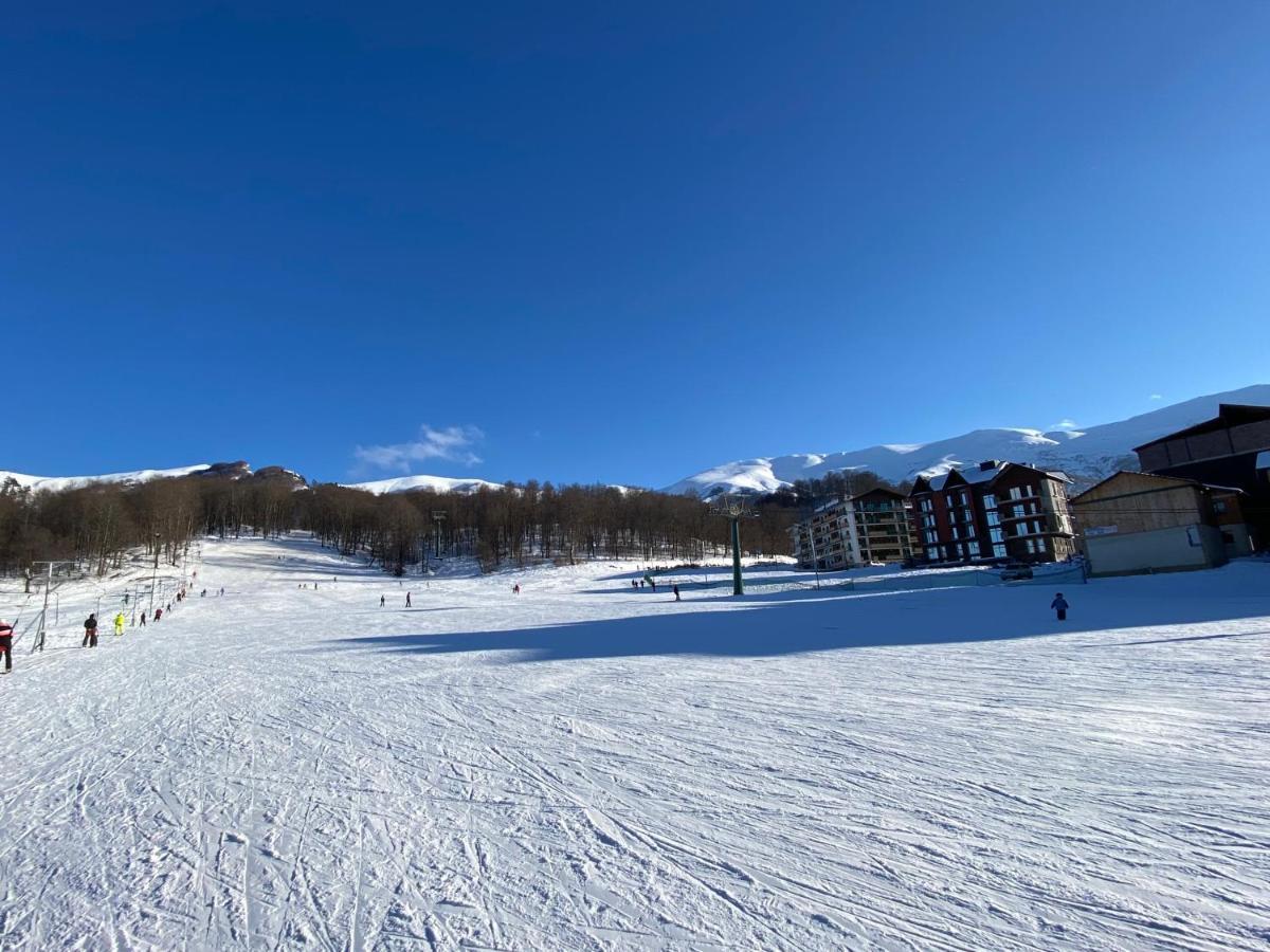 Snow Pine Suite - 4 Star Resort Bakoerjani Buitenkant foto